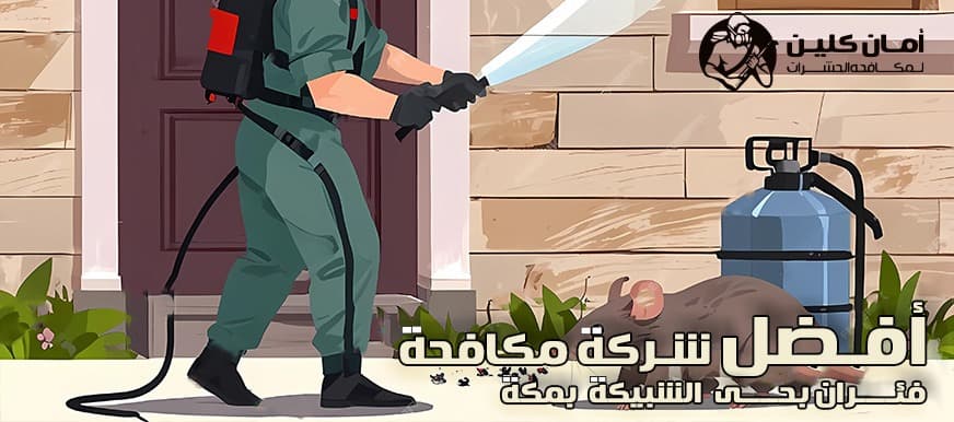 شركة مكافحة الفئران حي الشبيكة بمكة